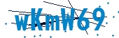 recaptcha