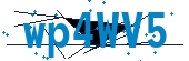recaptcha
