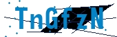 recaptcha