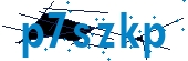 recaptcha