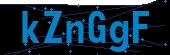recaptcha